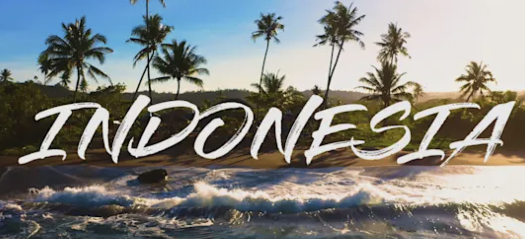 Project Management of a Salesforce Rollout